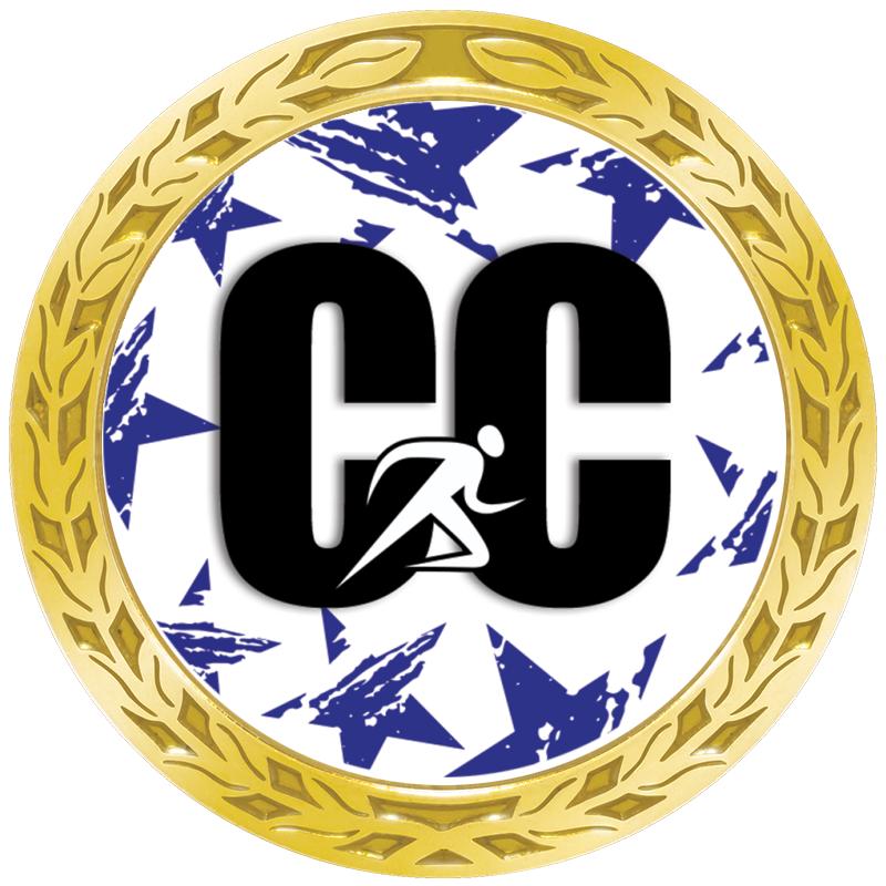 1.35" LAUREL WREATH GOLD PIN