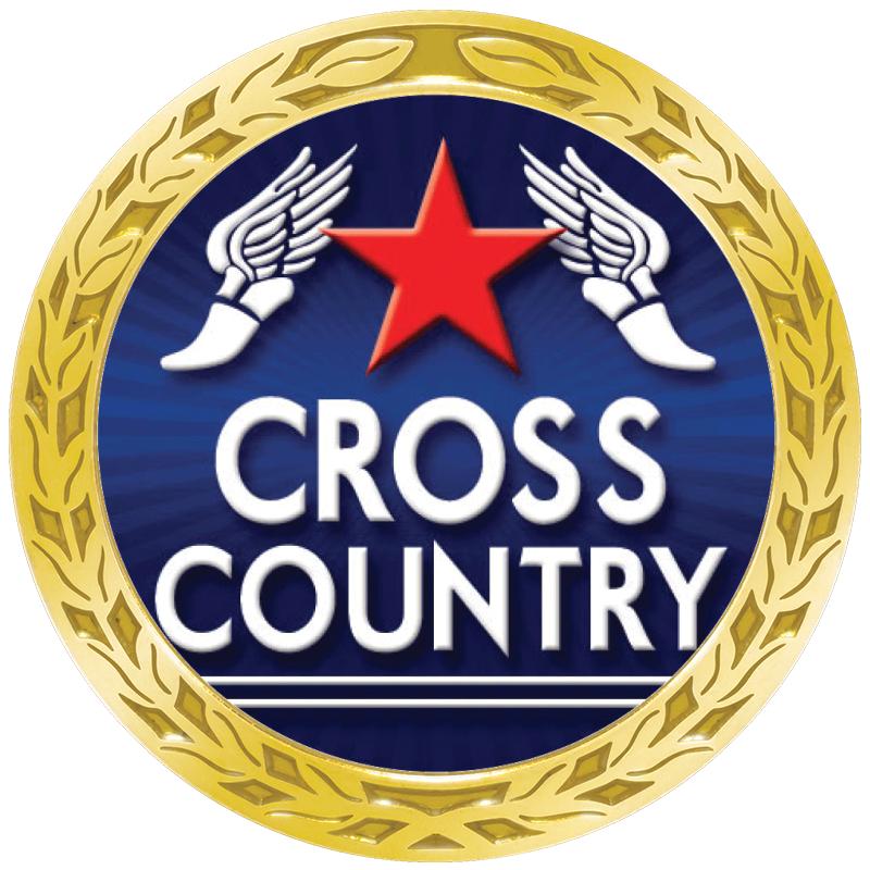 1.35" LAUREL WREATH GOLD PIN