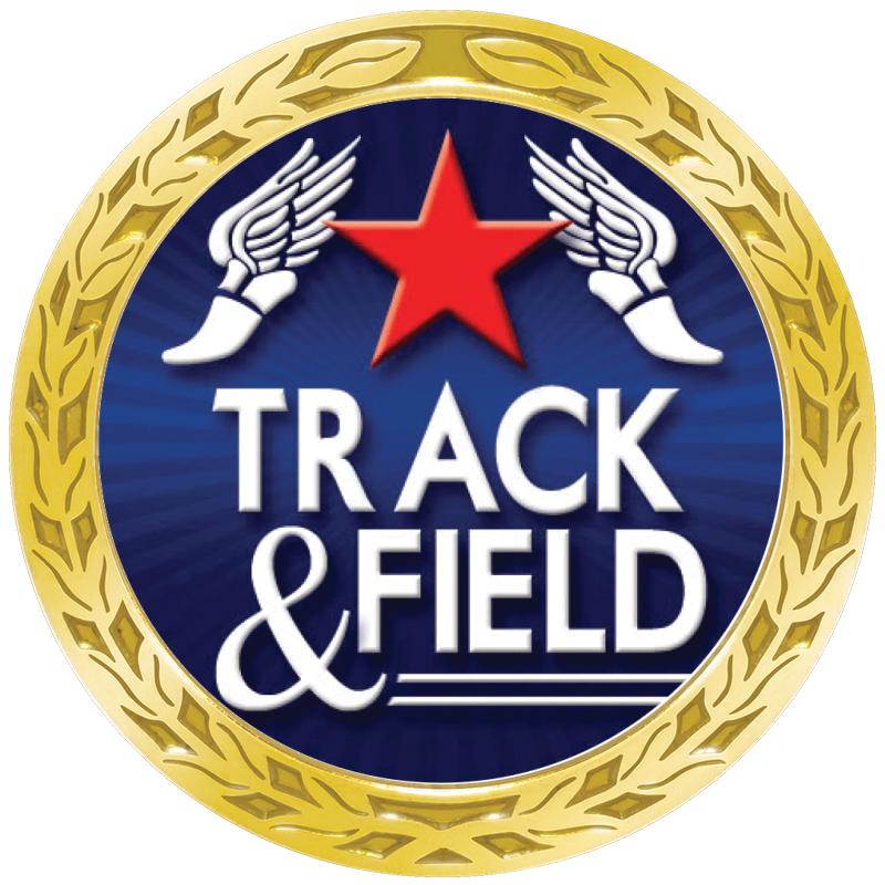 1.35" LAUREL WREATH GOLD PIN