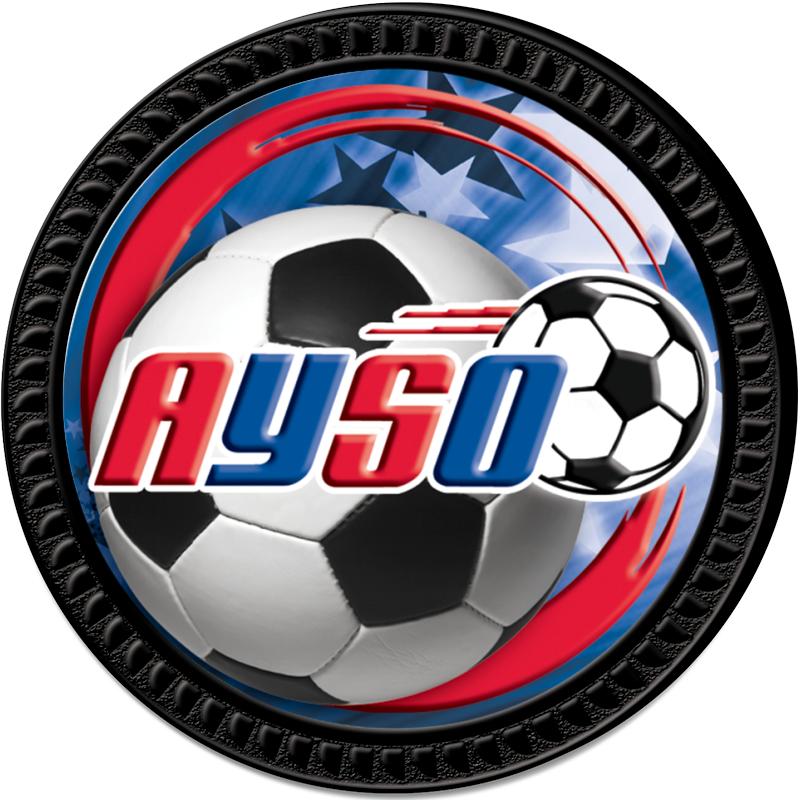 1.25" BLACK ROUND INSERT PIN