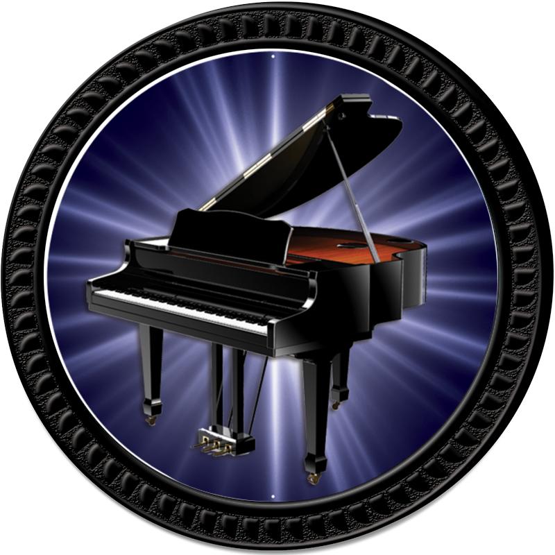 1.25" BLACK ROUND INSERT PIN