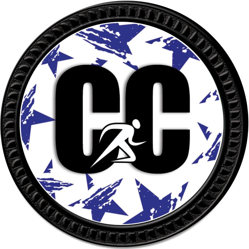 1.25" BLACK ROUND INSERT PIN