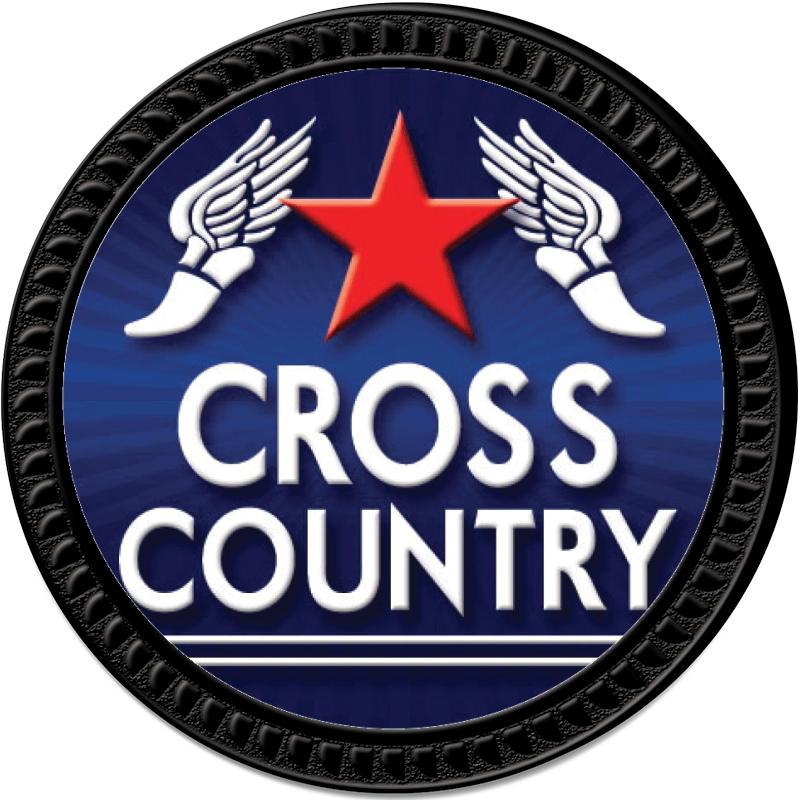 1.25" BLACK ROUND INSERT PIN