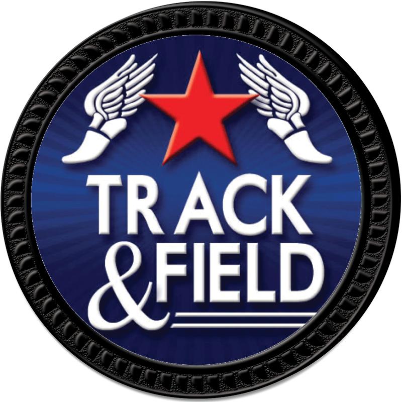 1.25" BLACK ROUND INSERT PIN