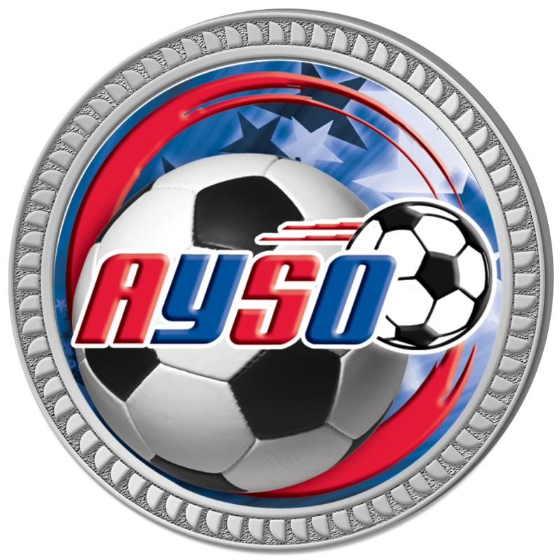 1.25" SILVER ROUND INSERT PIN