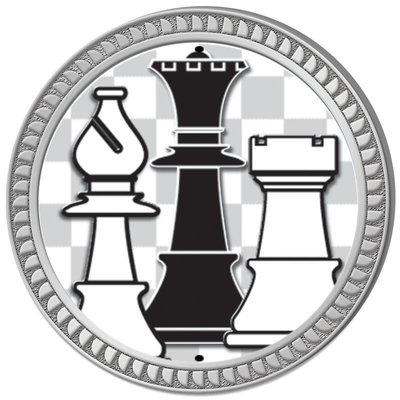 1.25" SILVER ROUND INSERT PIN