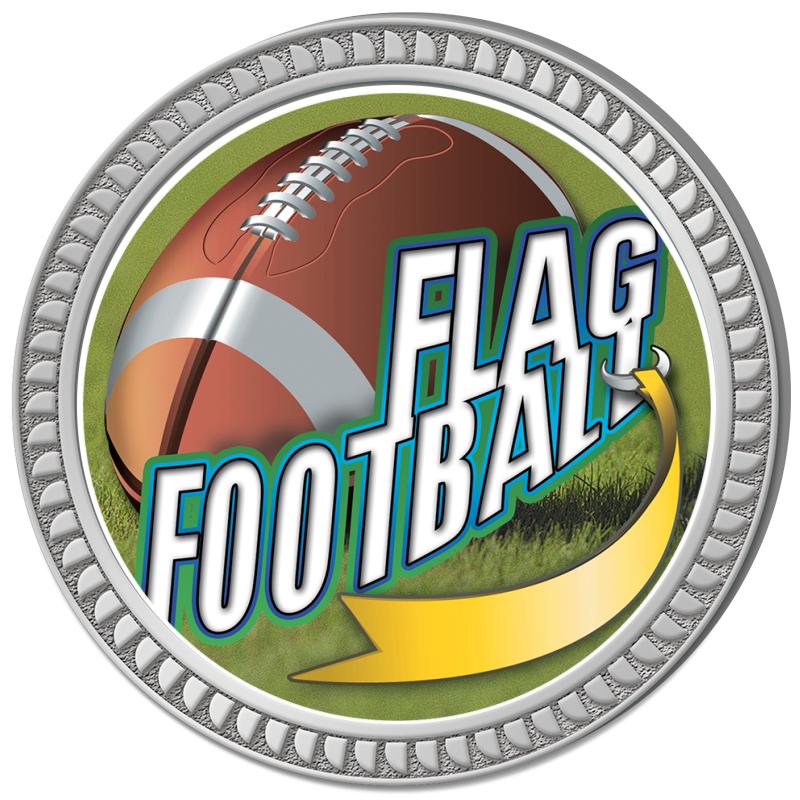 1.25" SILVER ROUND INSERT PIN