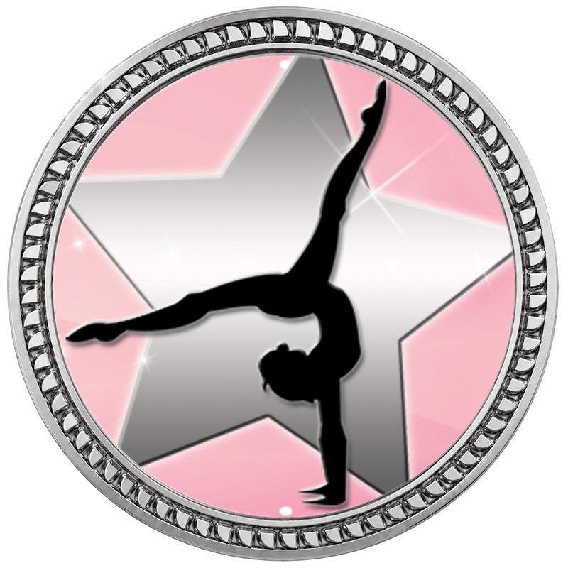 1.25" SILVER ROUND INSERT PIN