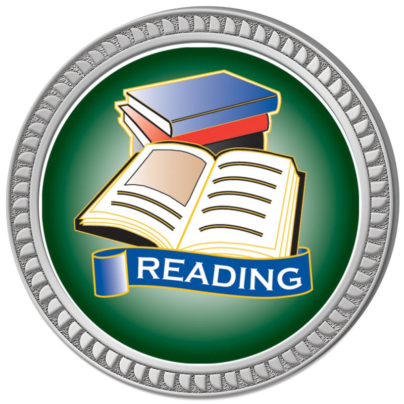 1.25" SILVER ROUND INSERT PIN