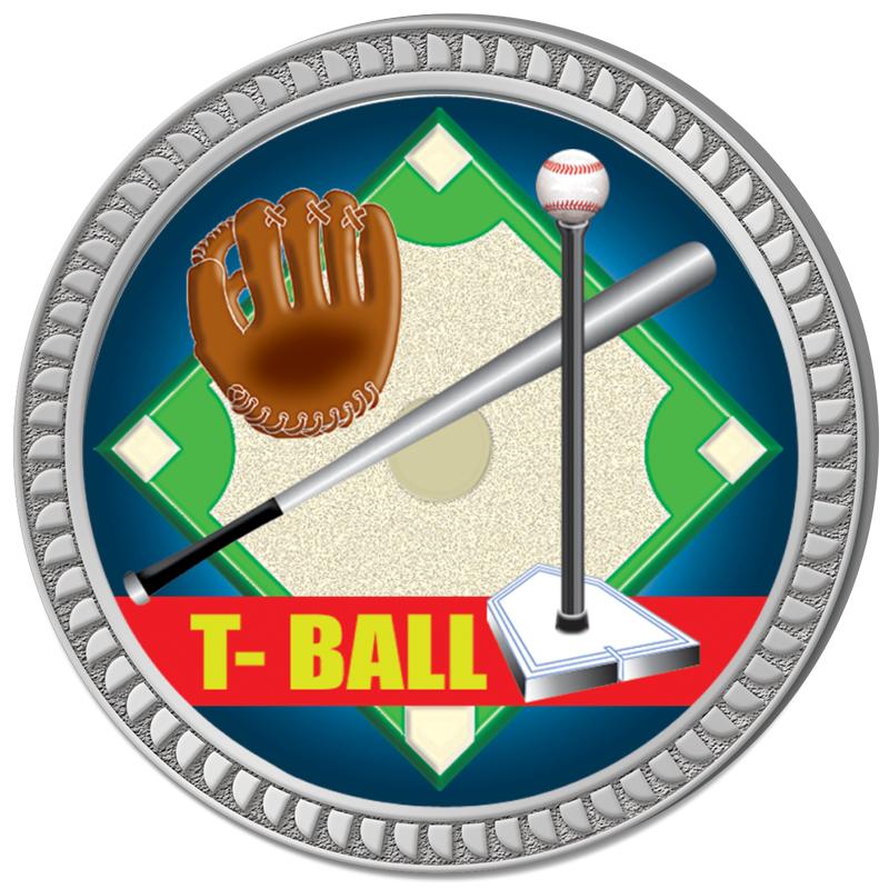 1.25" SILVER ROUND INSERT PIN