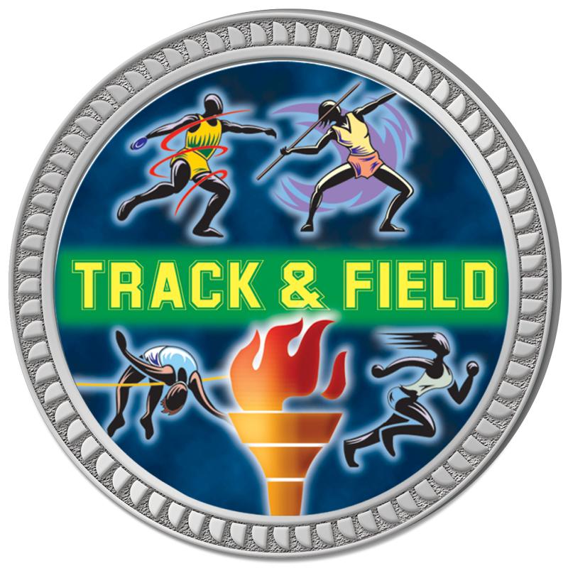 1.25" SILVER ROUND INSERT PIN