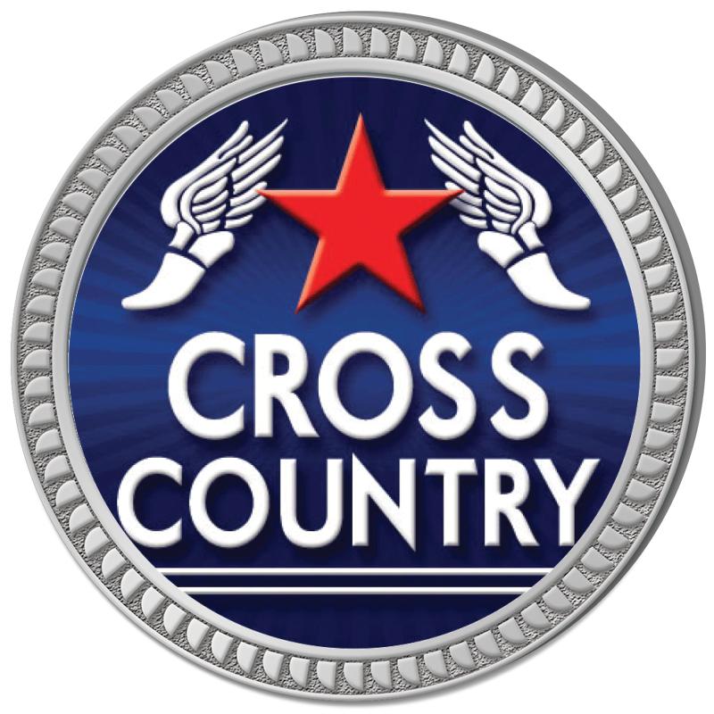 1.25" SILVER ROUND INSERT PIN