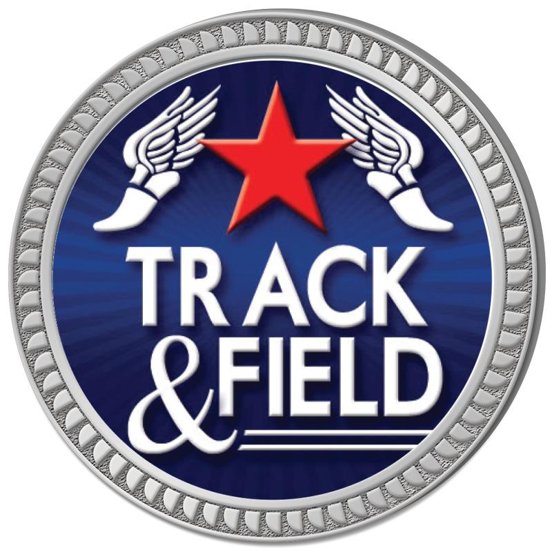 1.25" SILVER ROUND INSERT PIN