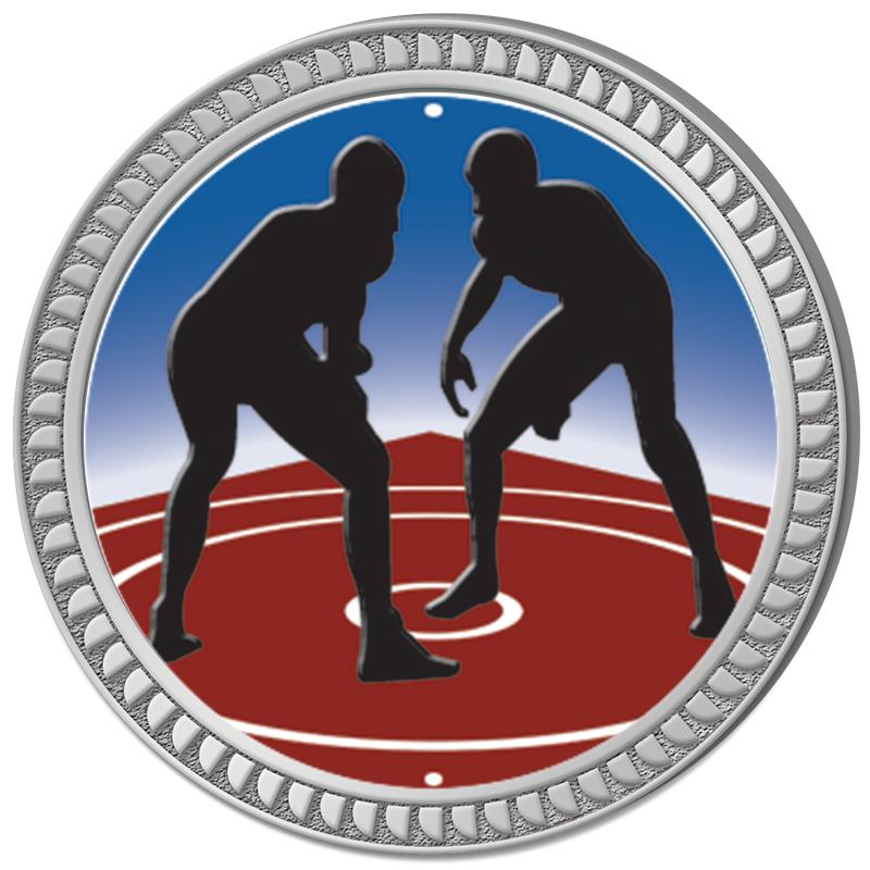 1.25" SILVER ROUND INSERT PIN