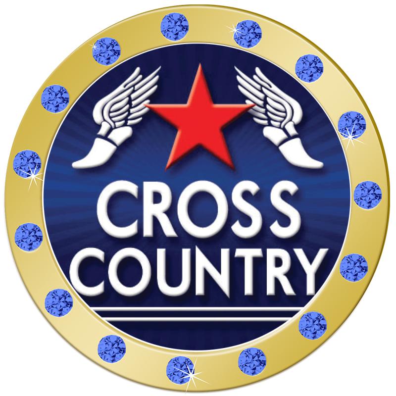 1.3"BLUE RHINESTONE INSERT PIN