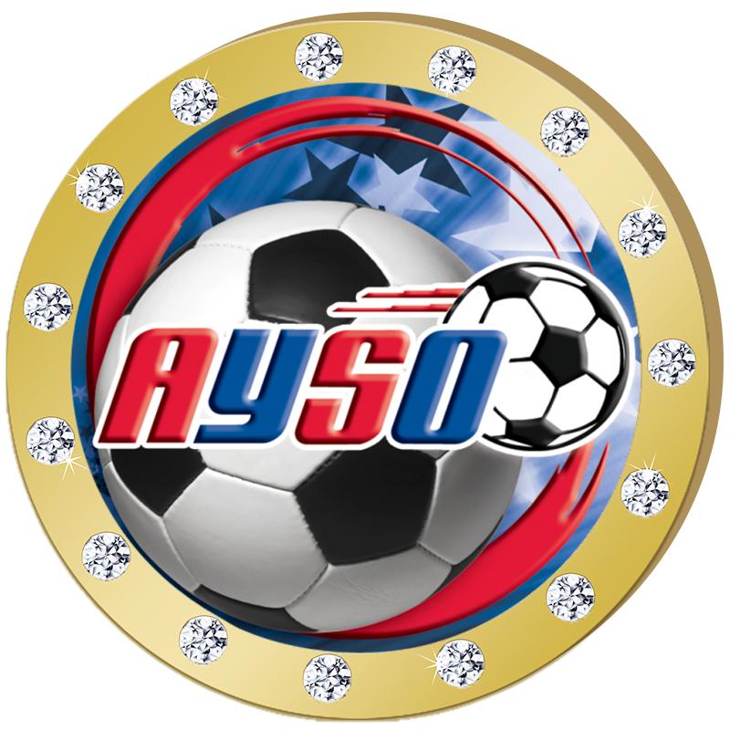 1.3"GOLD RHINESTONE INSERT PIN