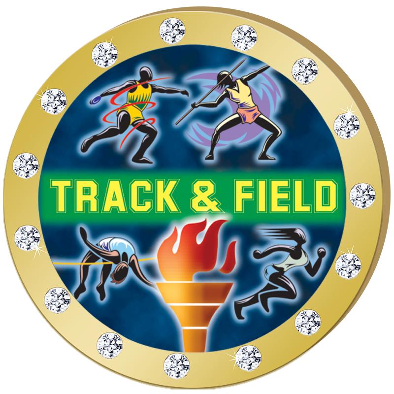 1.3"GOLD RHINESTONE INSERT PIN