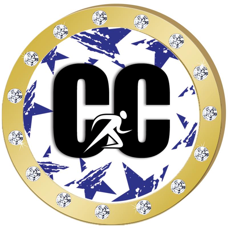 1.3"GOLD RHINESTONE INSERT PIN