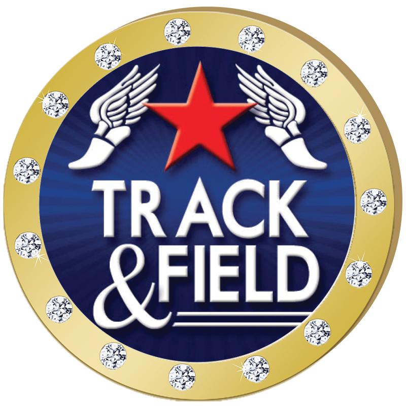 1.3"GOLD RHINESTONE INSERT PIN