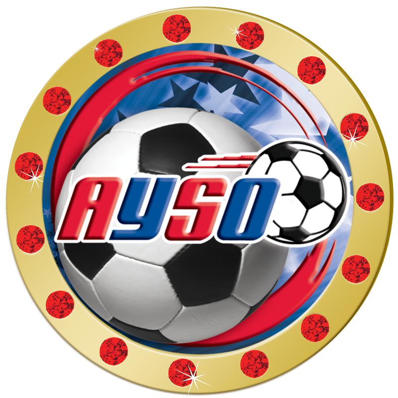 1.3" RED RHINESTONE INSERT PIN