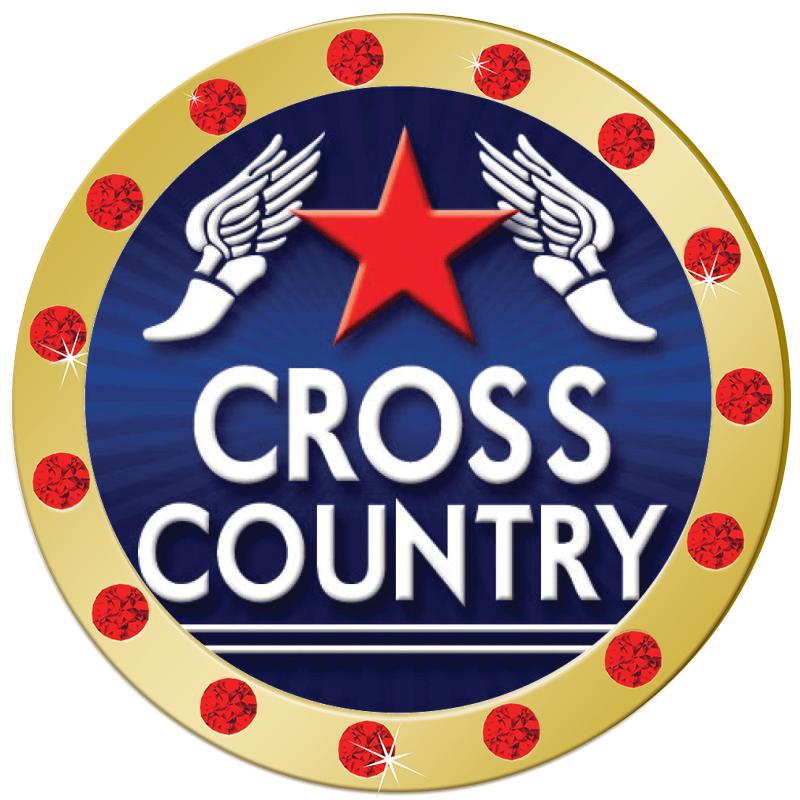 1.3" RED RHINESTONE INSERT PIN