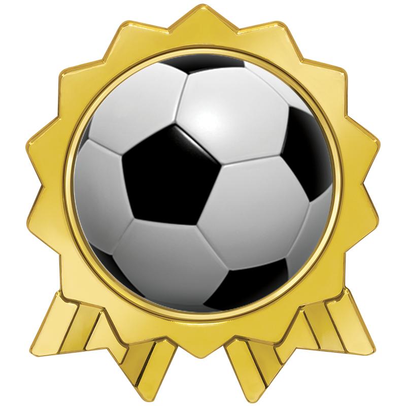 1.375x1.6 ROSETTE RBN INS PIN