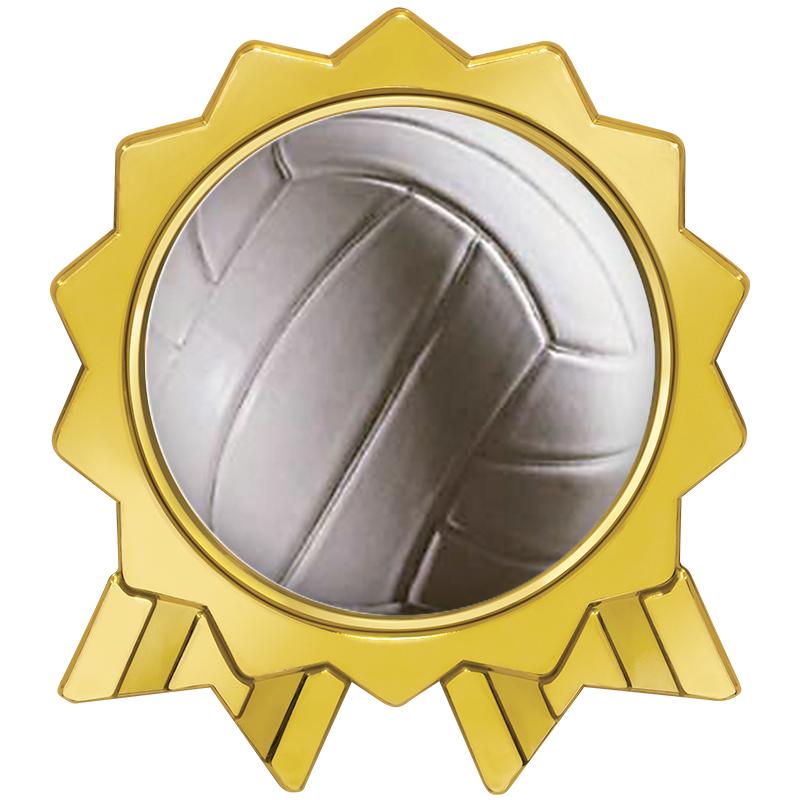 1.375x1.6 ROSETTE RBN INS PIN