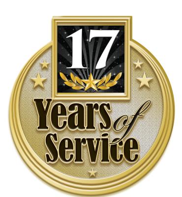 17 Years Service Insert Pin