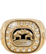 Wrestling championship rings on sale