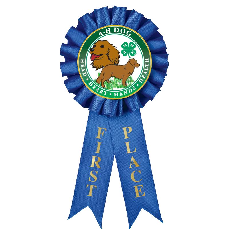 1ST PLACE MYLAR ROSETTES