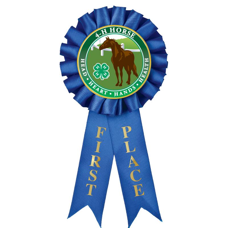 1ST PLACE MYLAR ROSETTES
