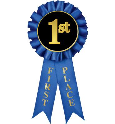 1st Place Rosette Ribbon