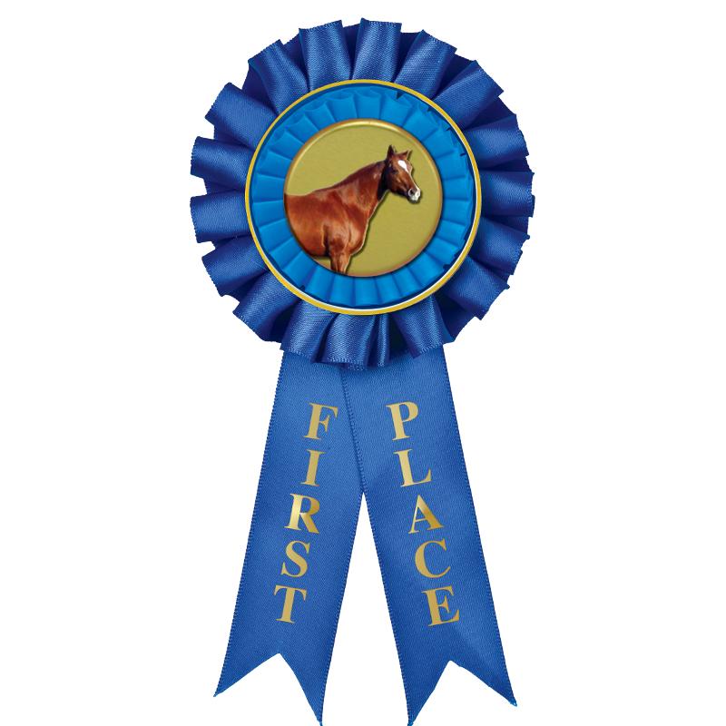 1ST PLACE MYLAR ROSETTES