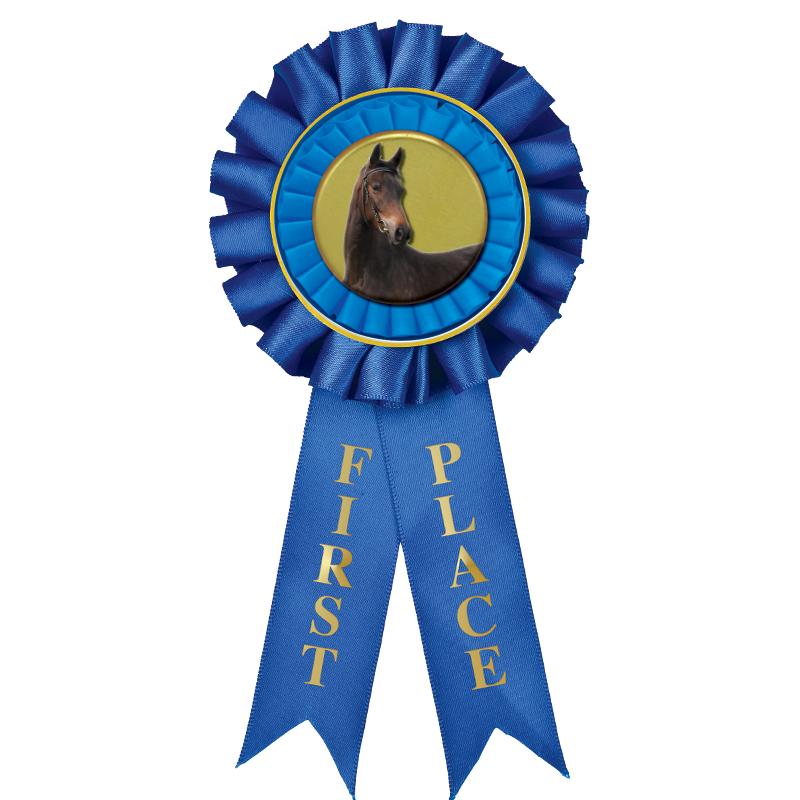 1ST PLACE MYLAR ROSETTES