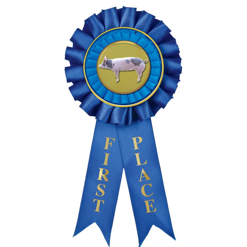 1ST PLACE MYLAR ROSETTES