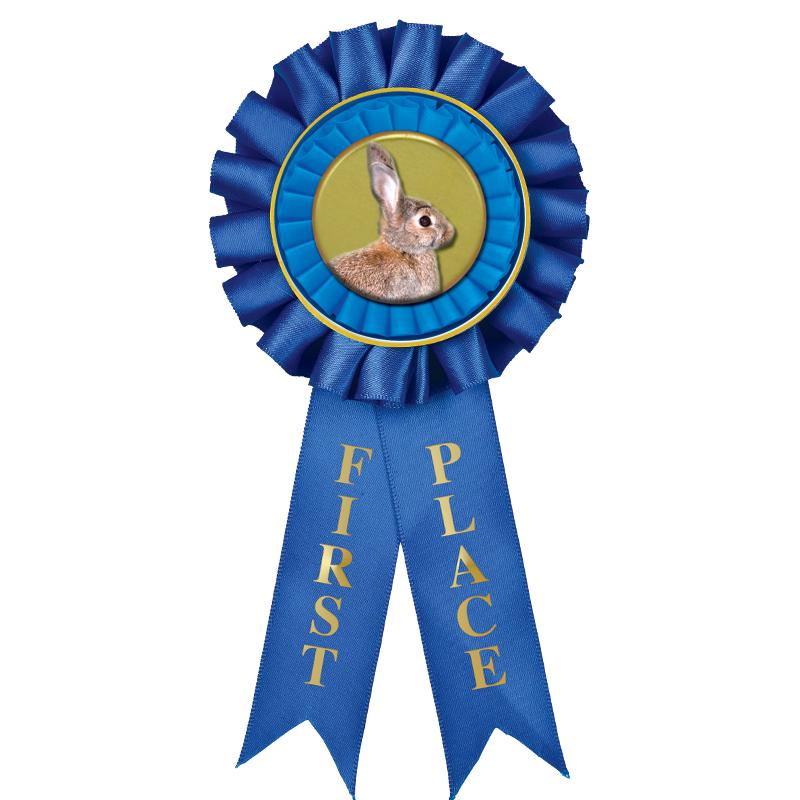 1ST PLACE MYLAR ROSETTES