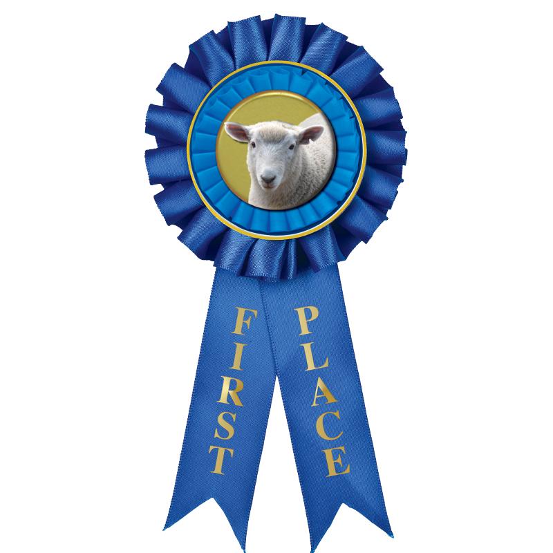 1ST PLACE MYLAR ROSETTES