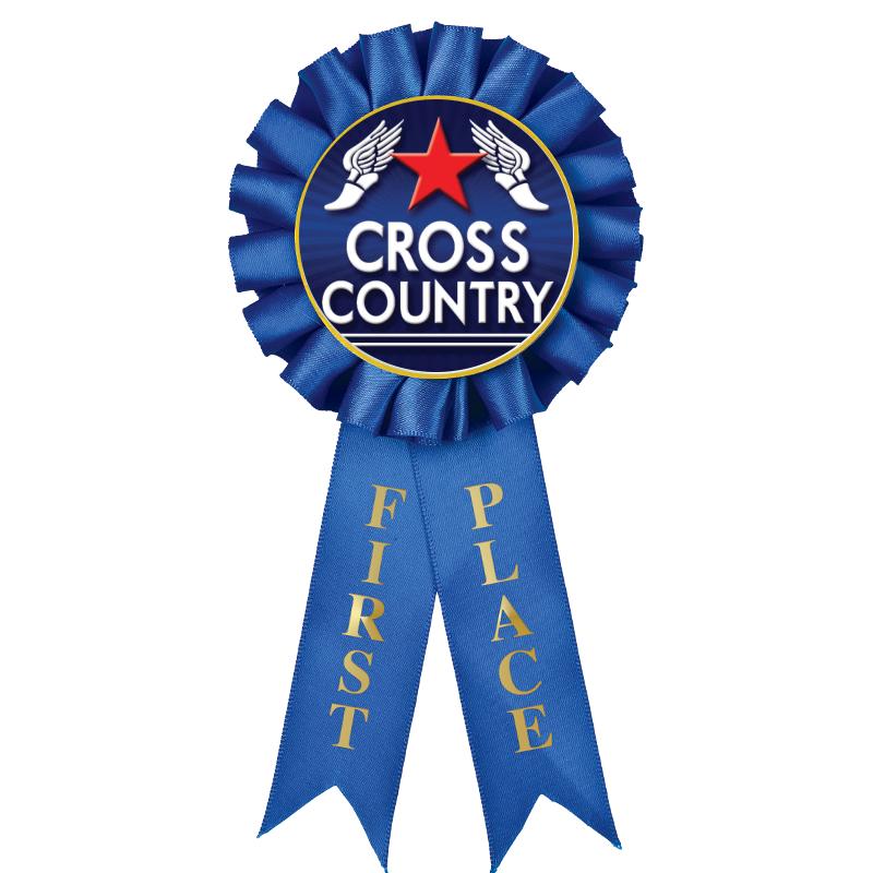 1ST PLACE MYLAR ROSETTES