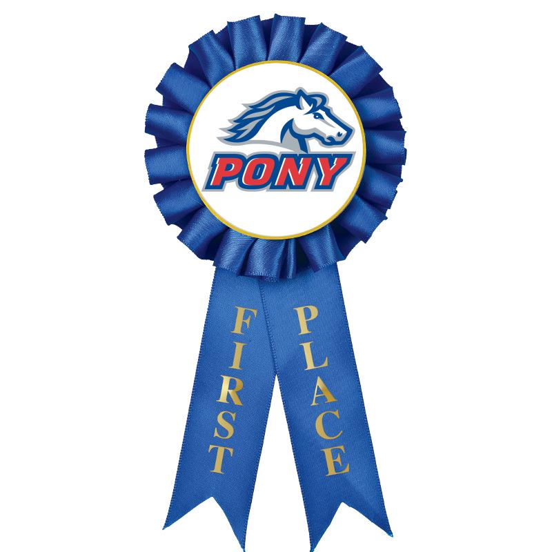 1ST PLACE MYLAR ROSETTES