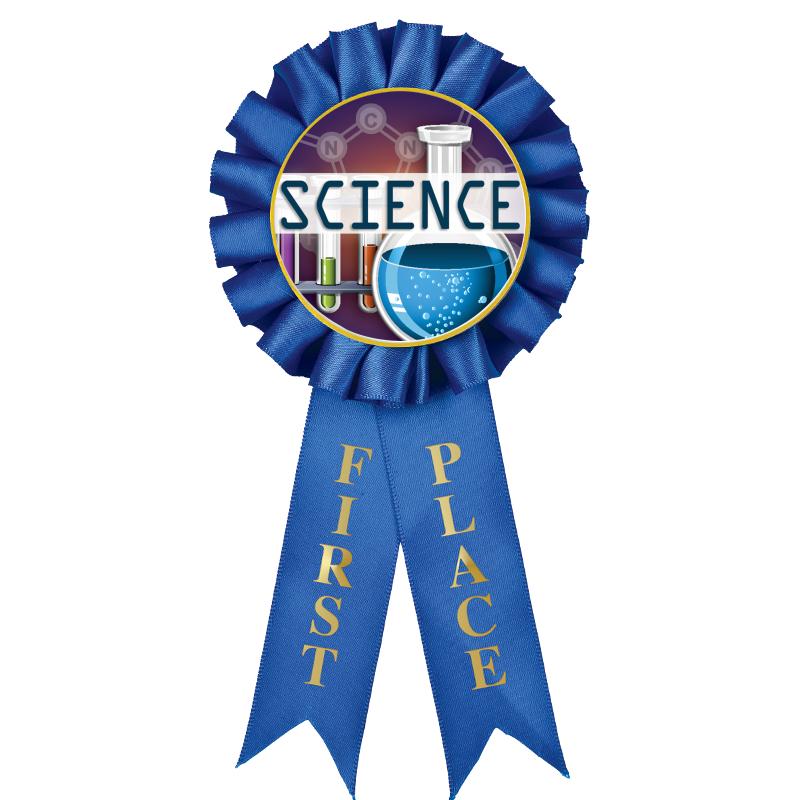 1ST PLACE MYLAR ROSETTES