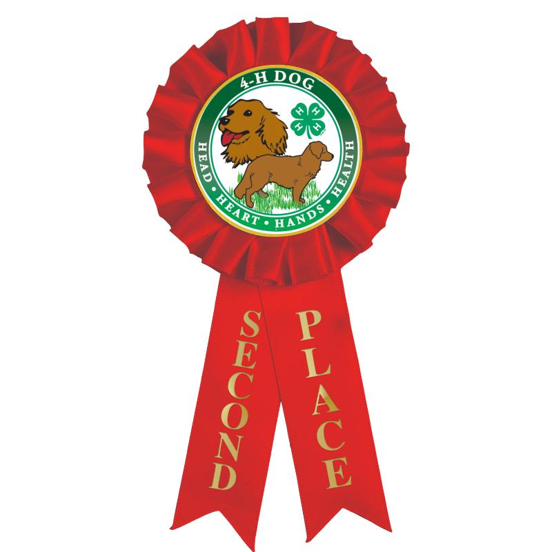 2ND PLACE MYLAR ROSETTES