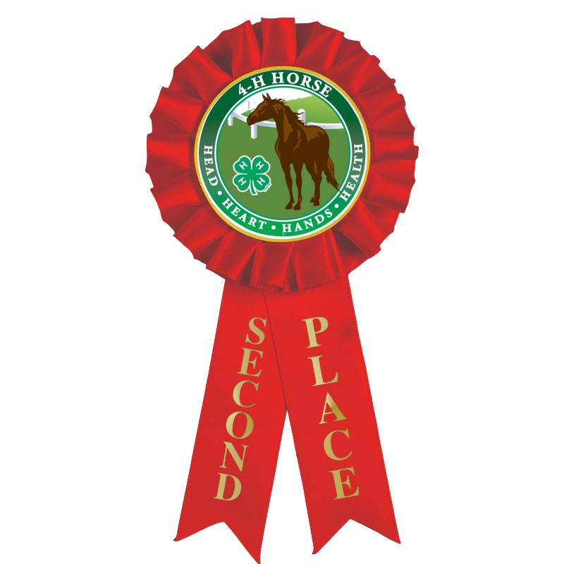 2ND PLACE MYLAR ROSETTES