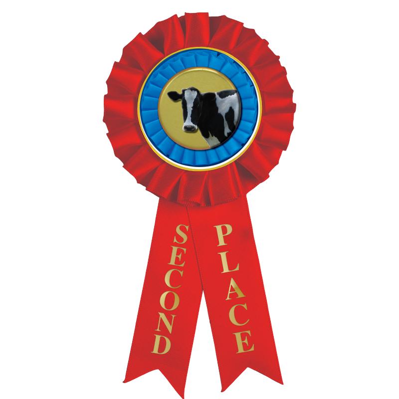 2ND PLACE MYLAR ROSETTES