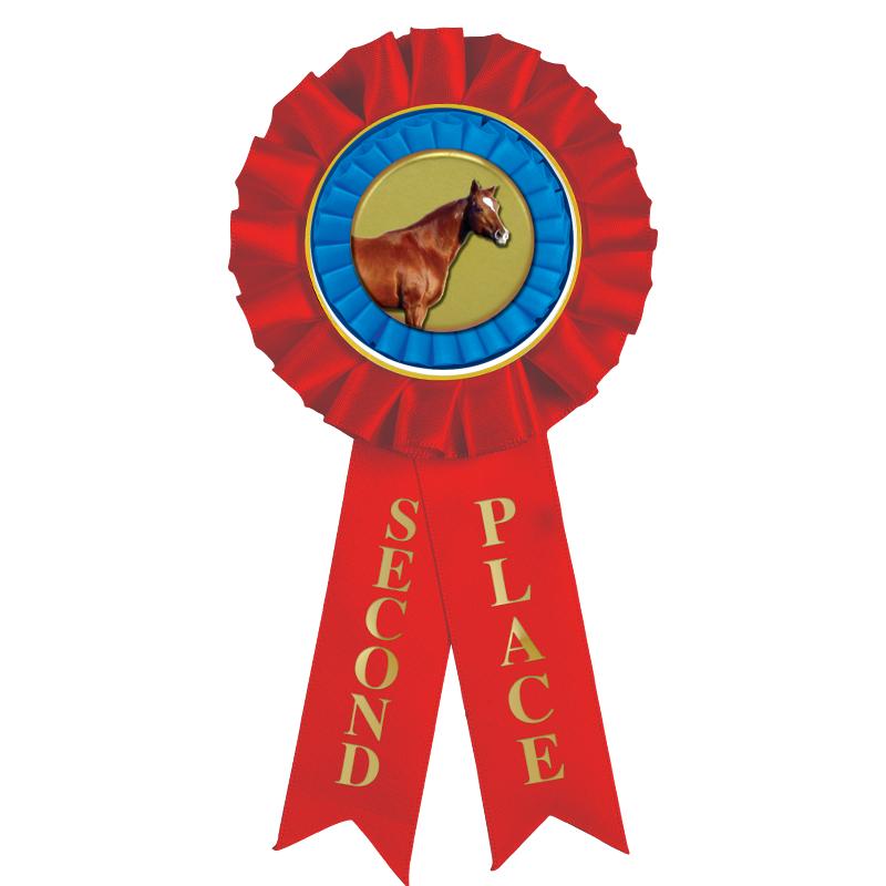 2ND PLACE MYLAR ROSETTES