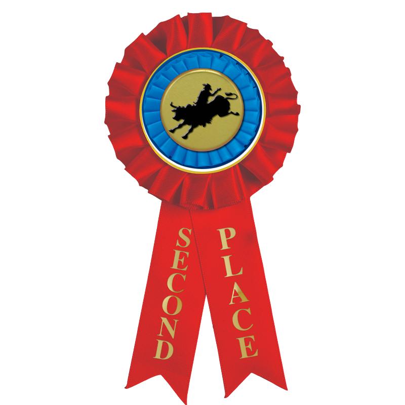 2ND PLACE MYLAR ROSETTES