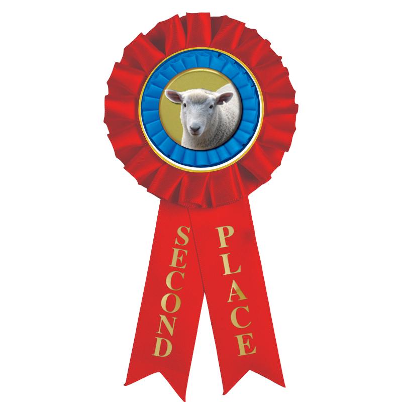 2ND PLACE MYLAR ROSETTES