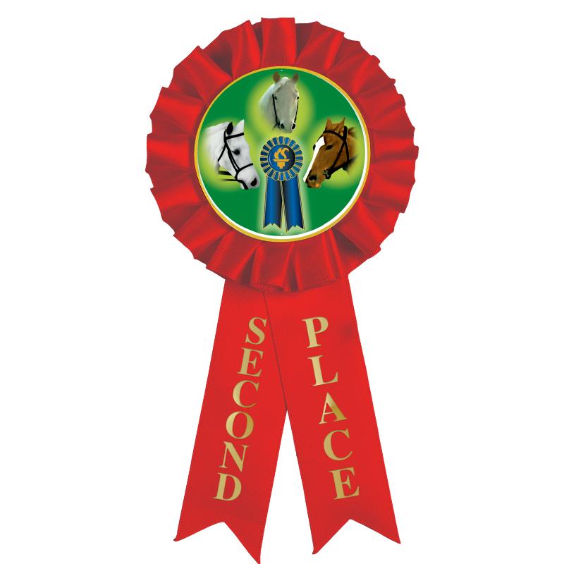 2ND PLACE MYLAR ROSETTES