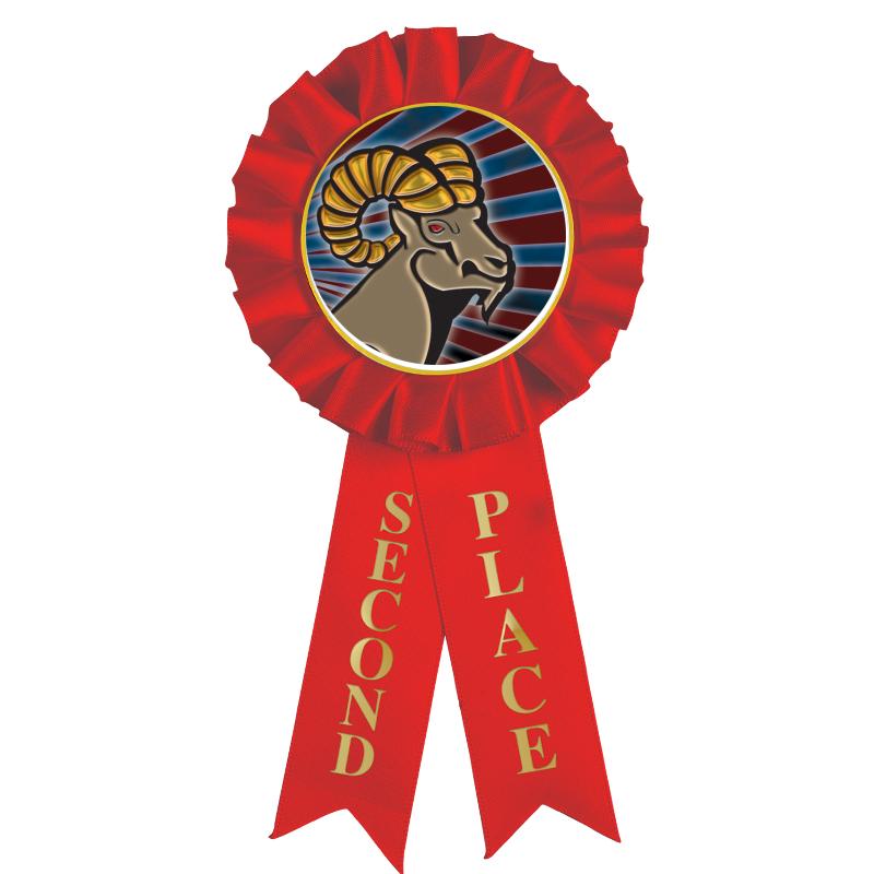 2ND PLACE MYLAR ROSETTES