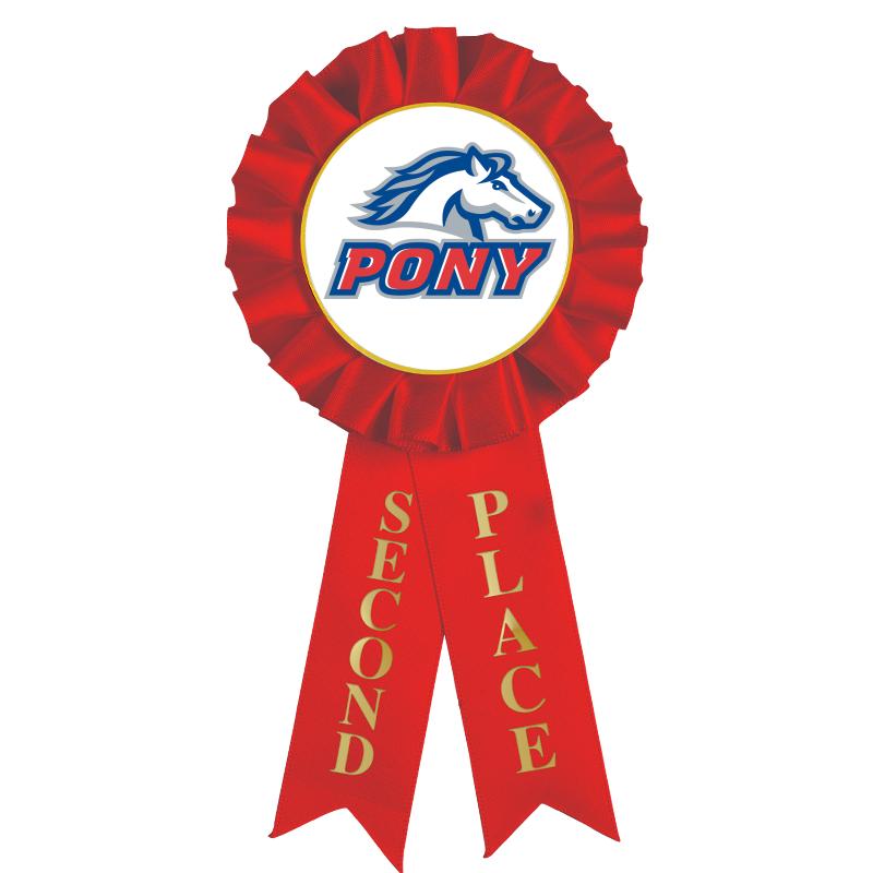 2ND PLACE MYLAR ROSETTES