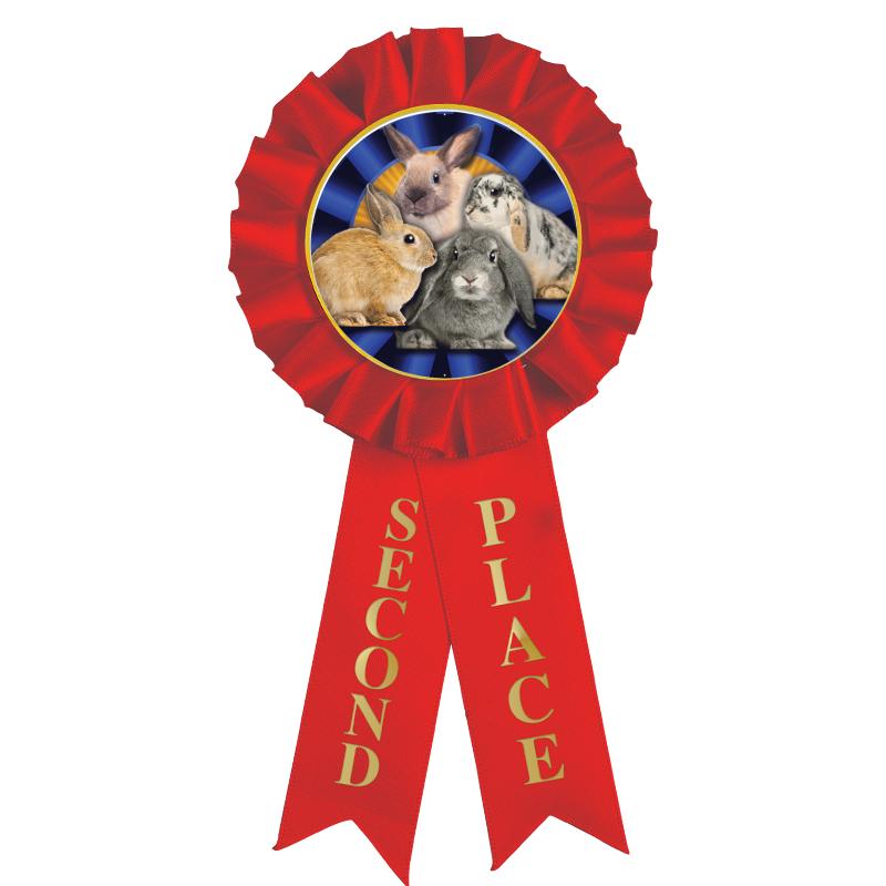 2ND PLACE MYLAR ROSETTES